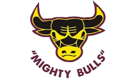 Mighty Bulls